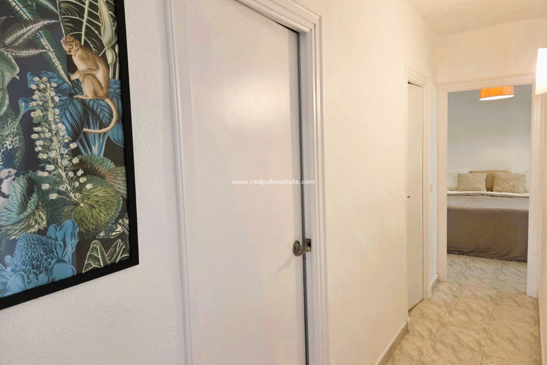 Resale - Apartment -
Torrevieja
