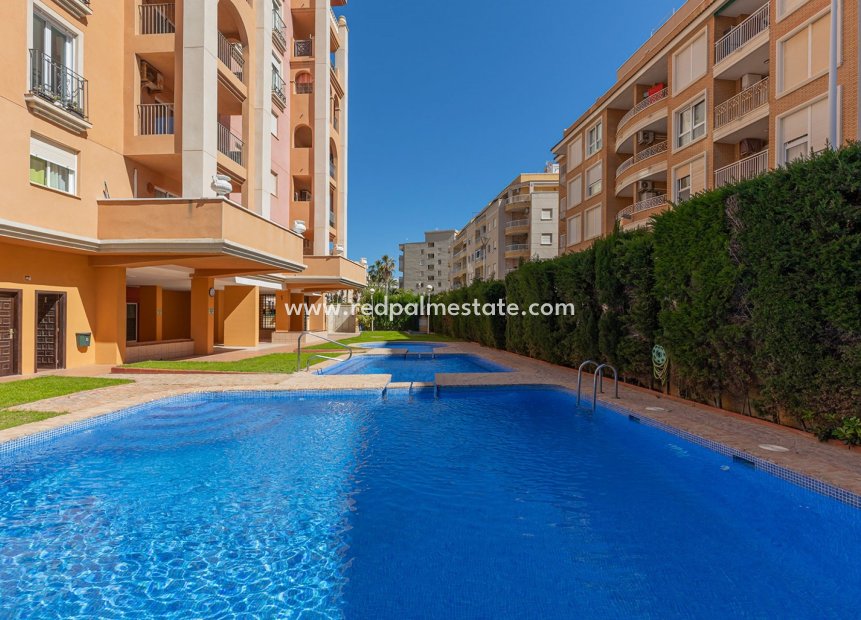Resale - Apartment -
Torrevieja