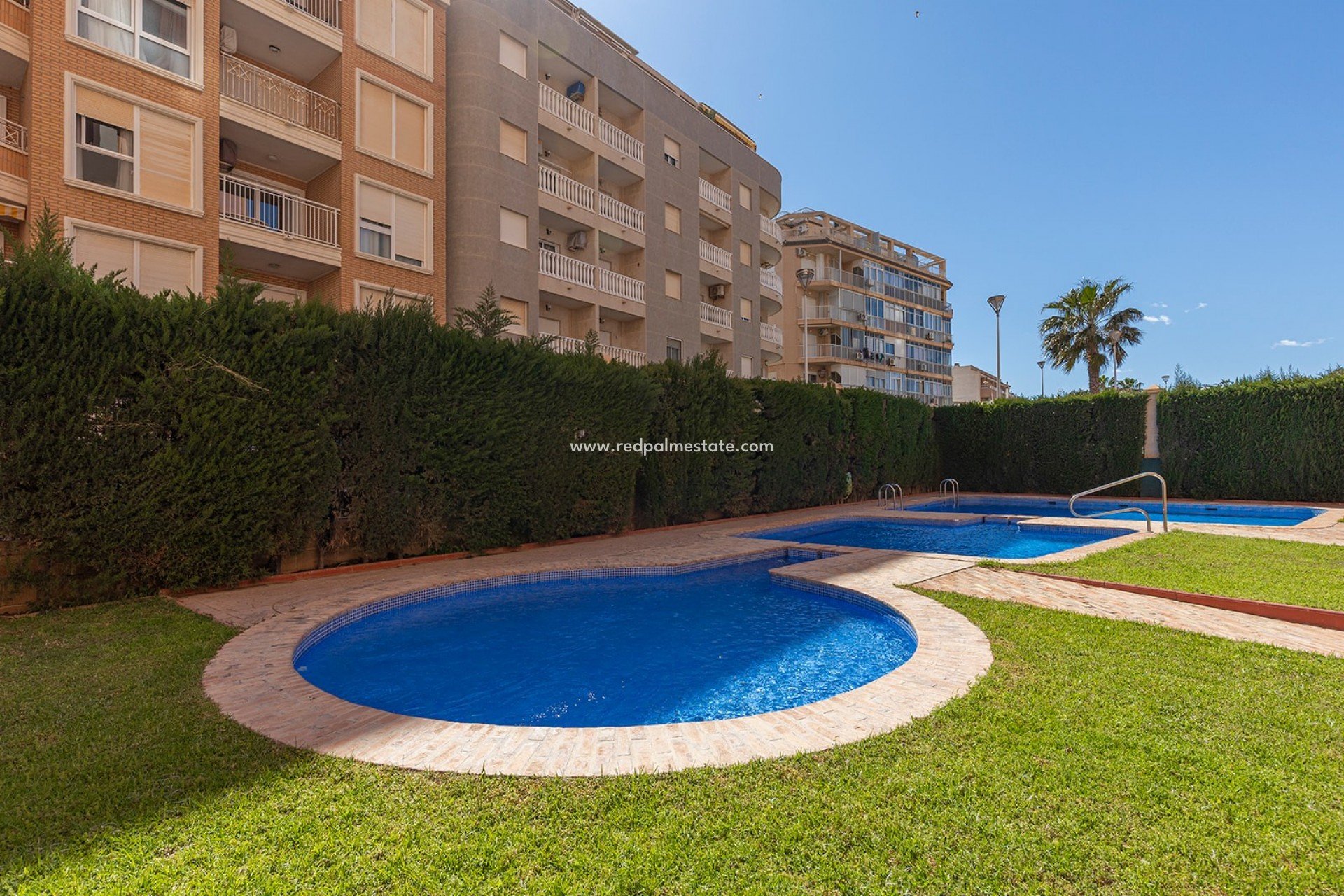 Resale - Apartment -
Torrevieja