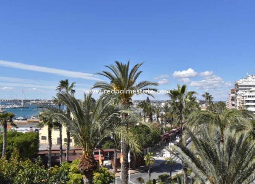 Resale - Apartment -
Torrevieja