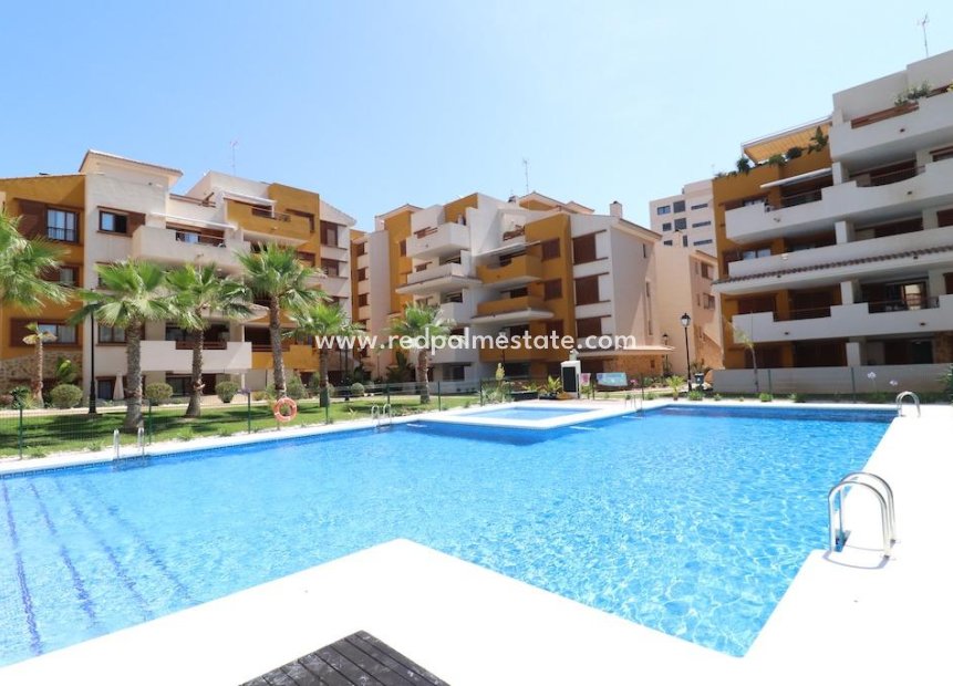 Resale - Apartment -
Torrevieja