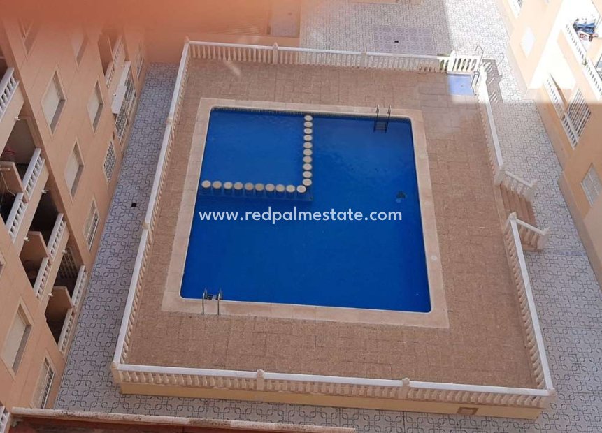 Resale - Apartment -
Torrevieja