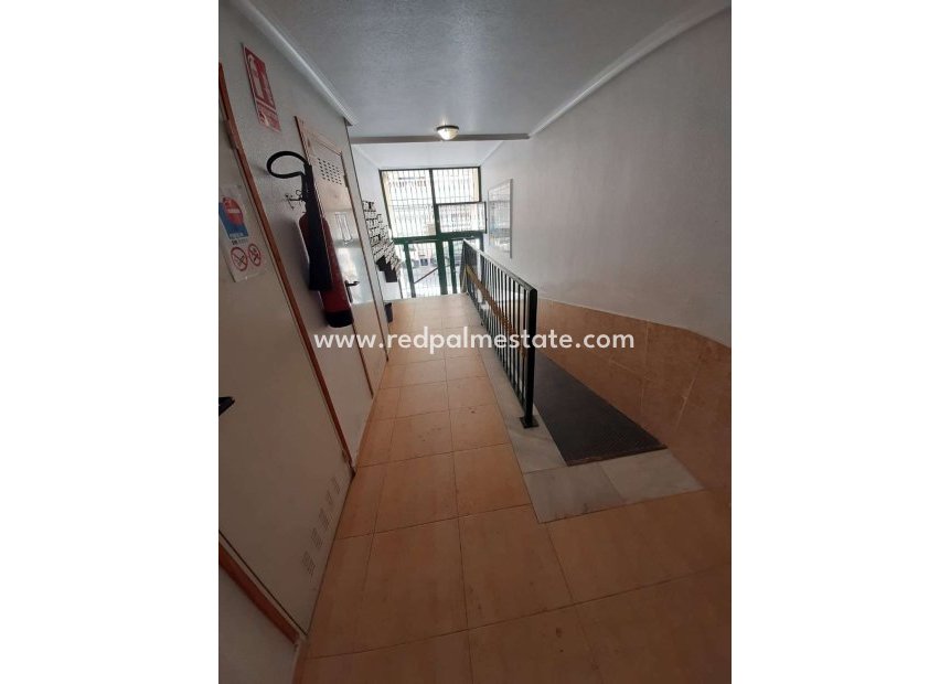 Resale - Apartment -
Torrevieja