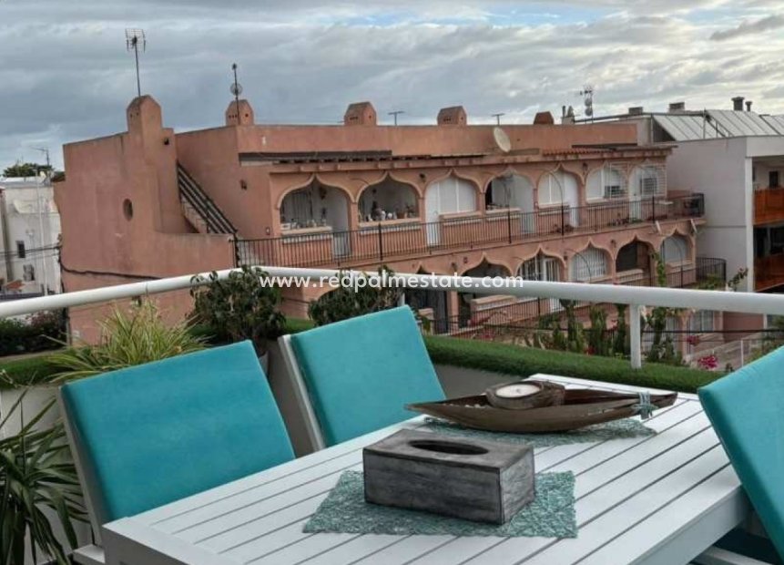 Resale - Apartment -
Torrevieja