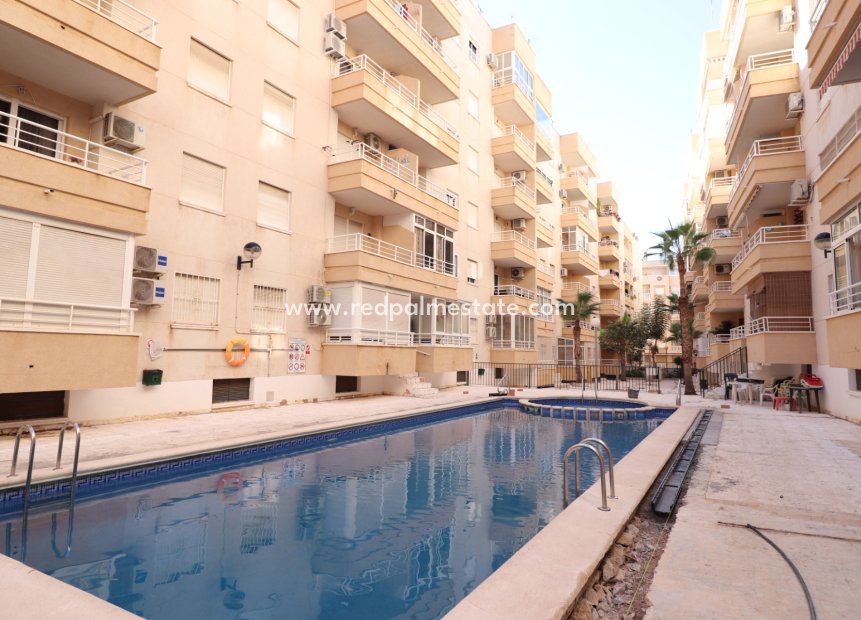 Resale - Apartment -
Torrevieja