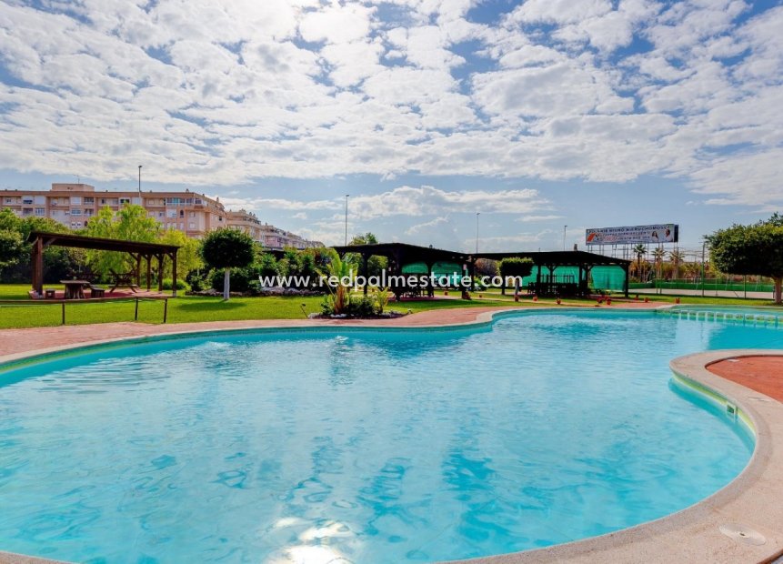 Resale - Apartment -
Torrevieja