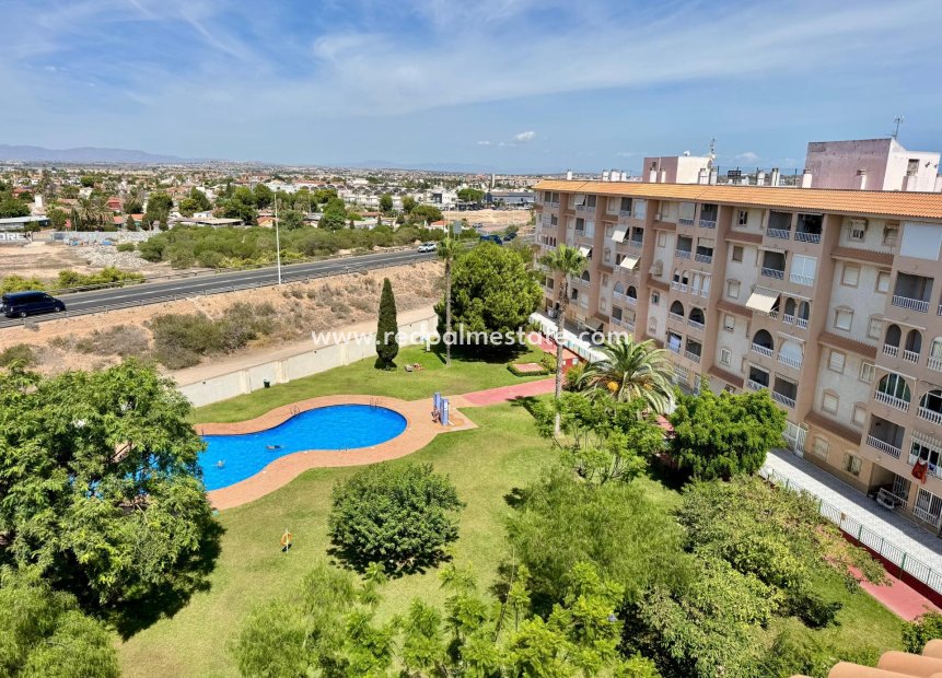 Resale - Apartment -
Torrevieja