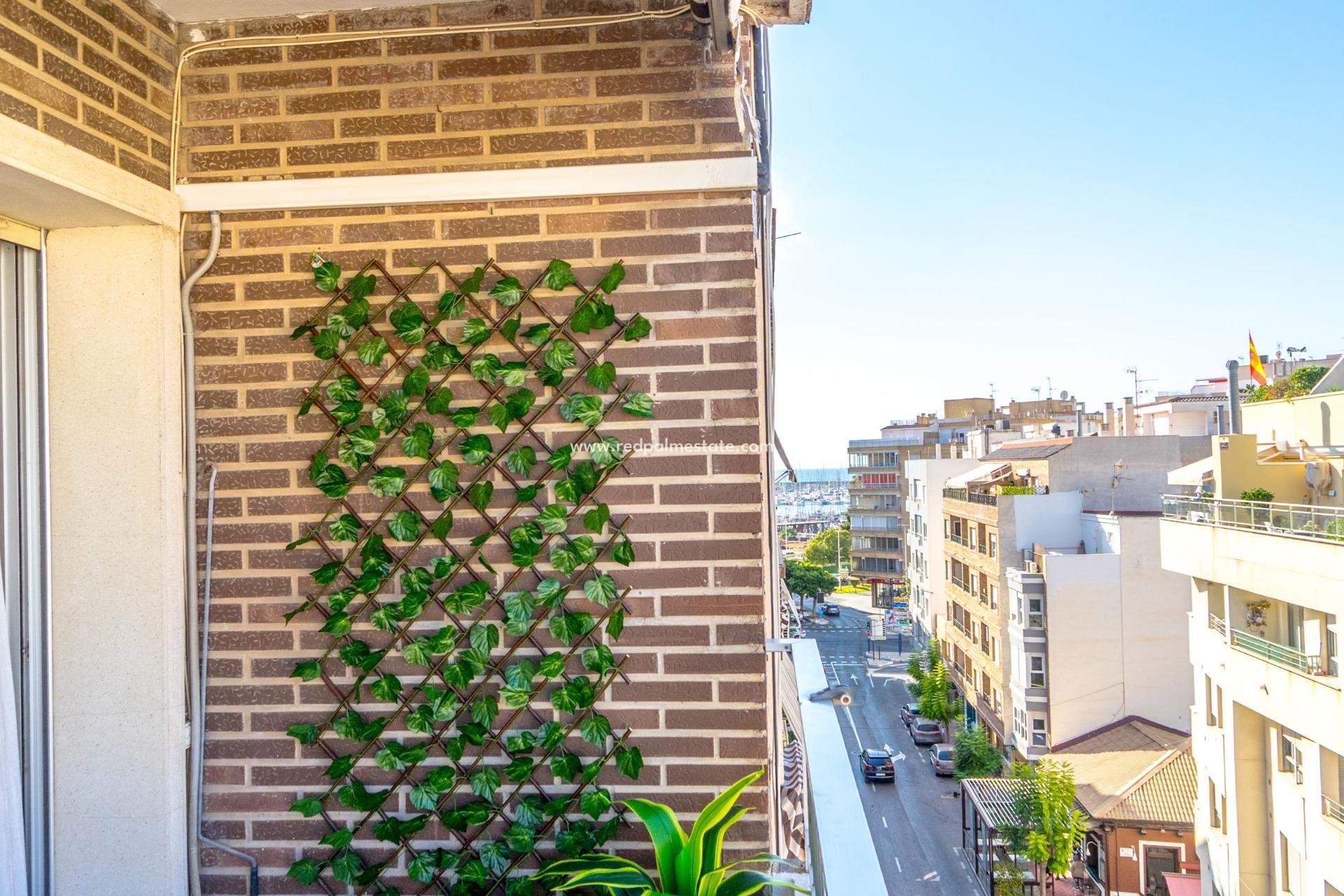 Resale - Apartment -
Torrevieja