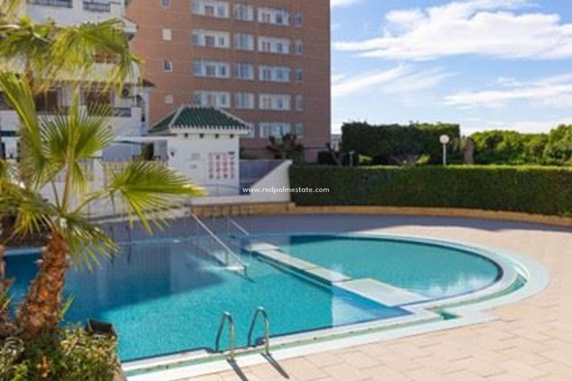 Resale - Apartment -
Torrevieja