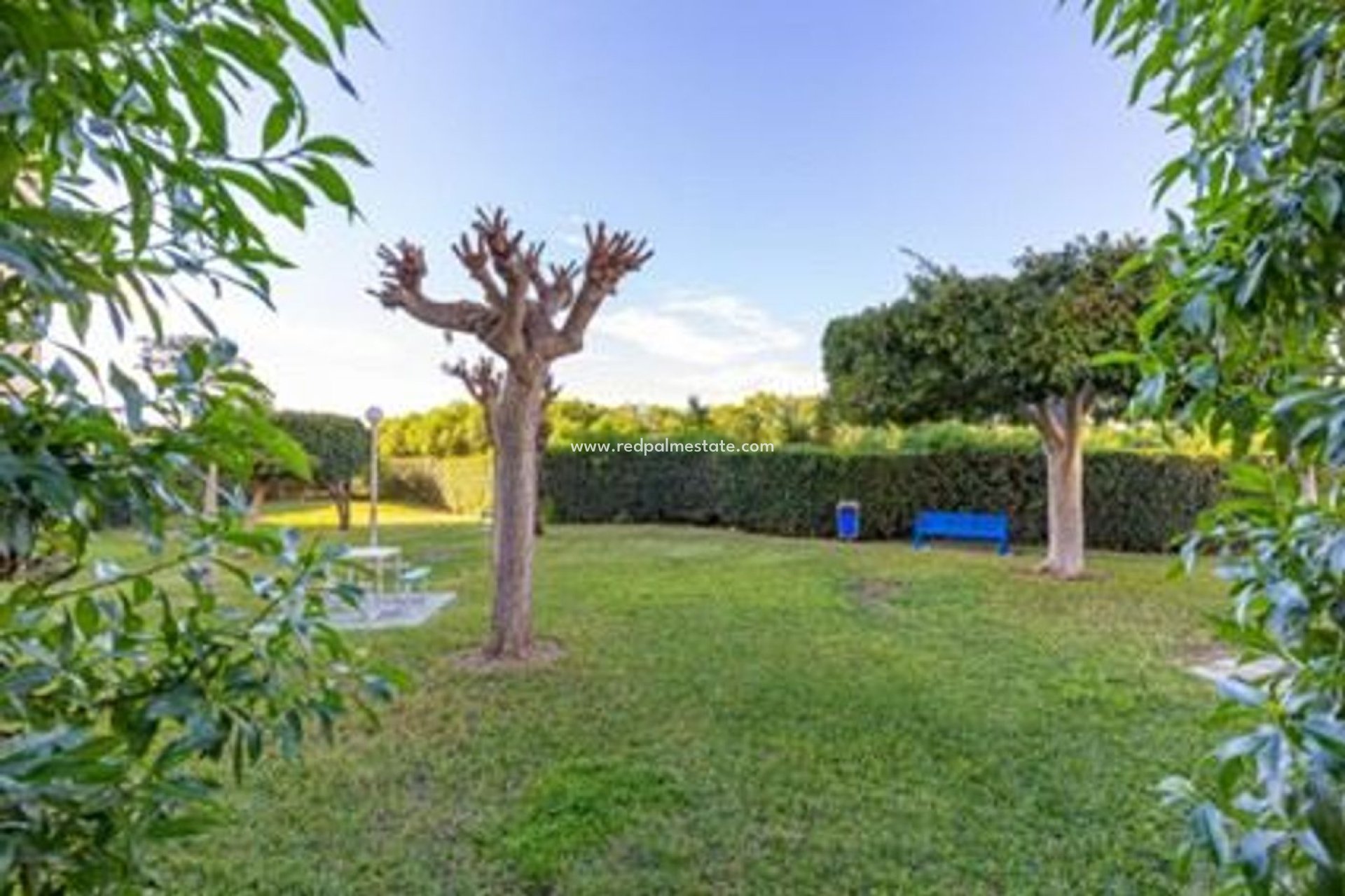 Resale - Apartment -
Torrevieja