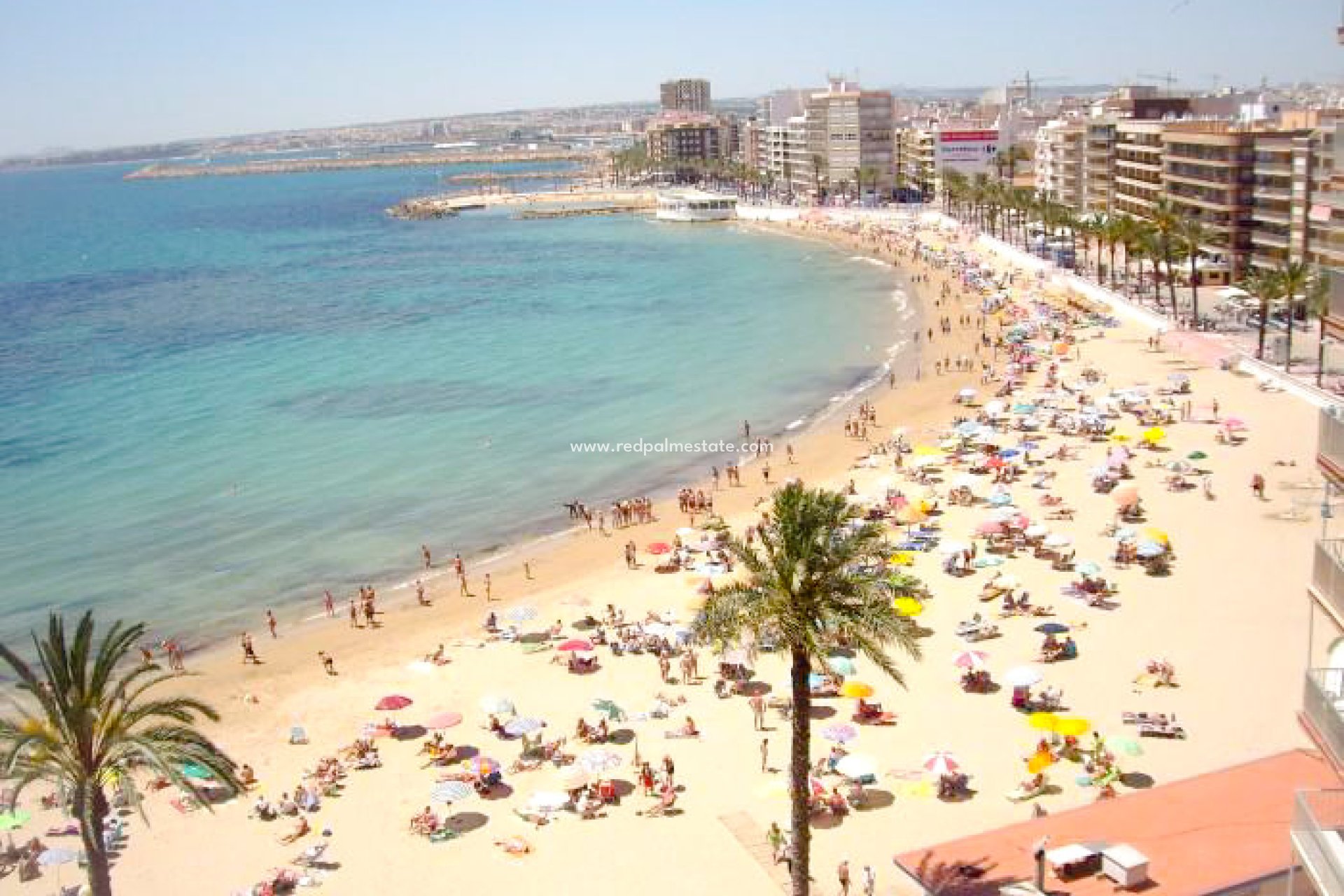 Resale - Apartment -
Torrevieja