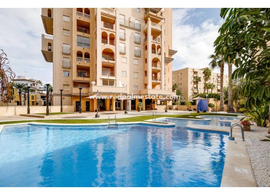 Resale - Apartment -
Torrevieja