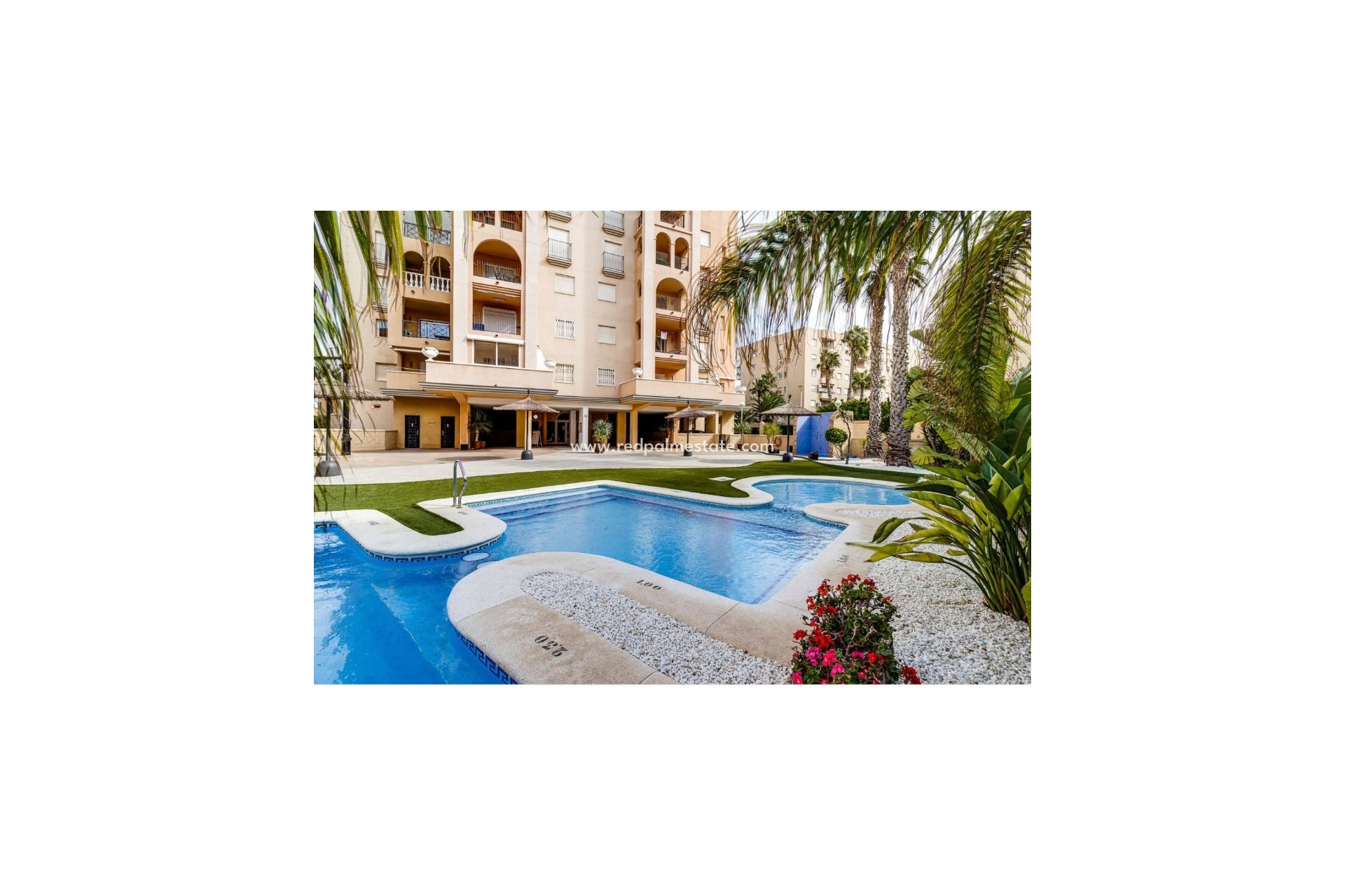 Resale - Apartment -
Torrevieja