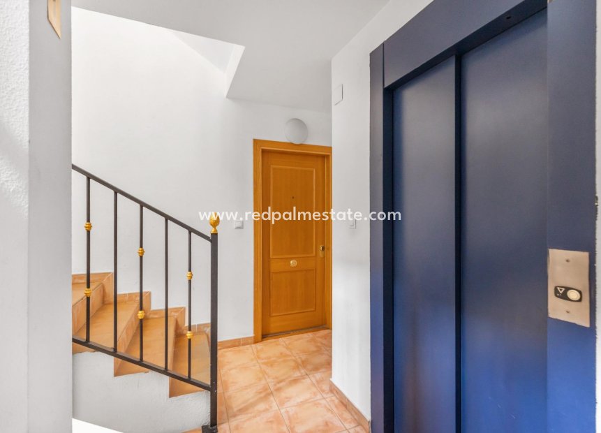 Resale - Apartment -
Torrevieja