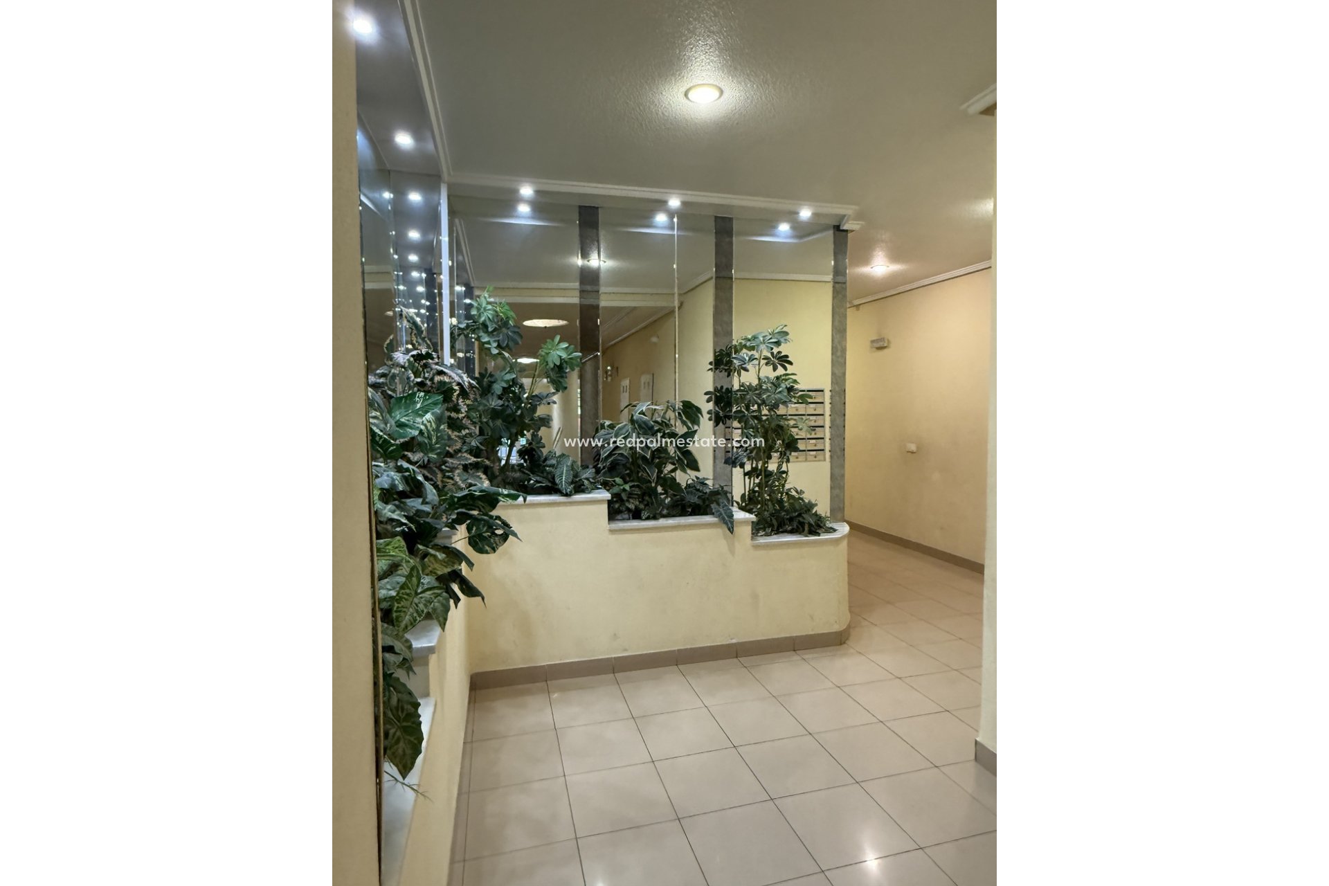 Resale - Apartment -
Torrevieja