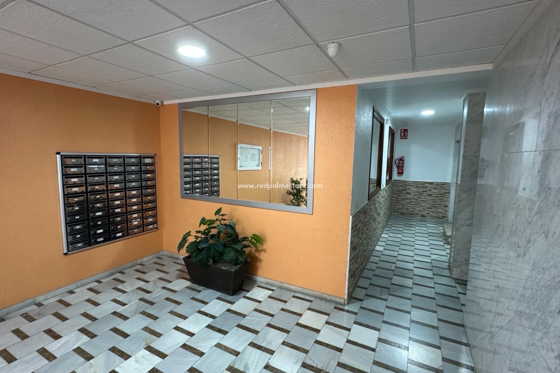 Resale - Apartment -
Torrevieja