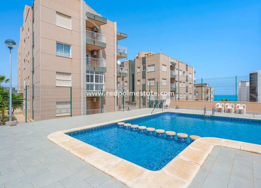 Resale - Apartment -
Torrevieja