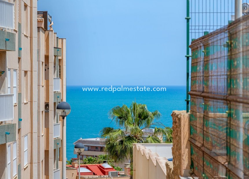 Resale - Apartment -
Torrevieja