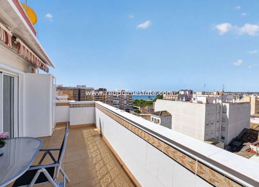 Resale - Apartment -
Torrevieja