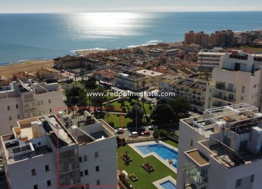 Resale - Apartment -
Torrevieja