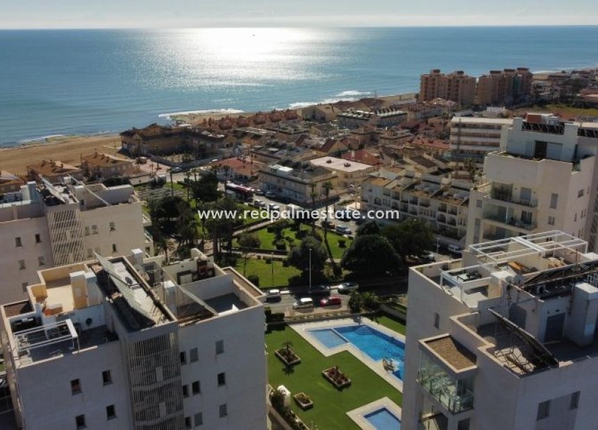 Resale - Apartment -
Torrevieja
