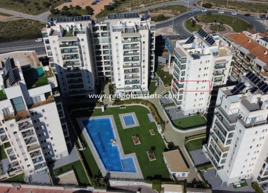 Resale - Apartment -
Torrevieja