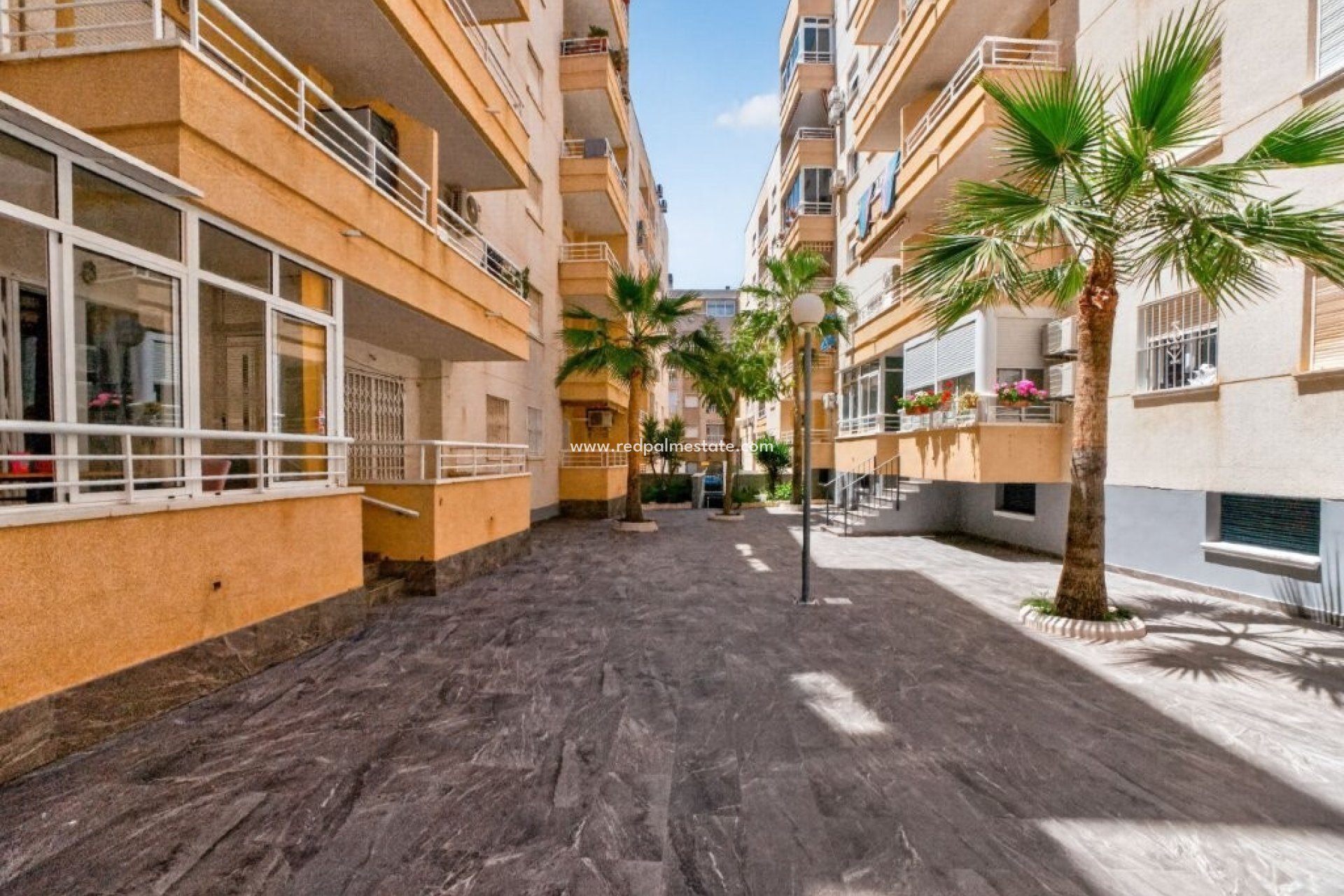 Resale - Apartment -
Torrevieja