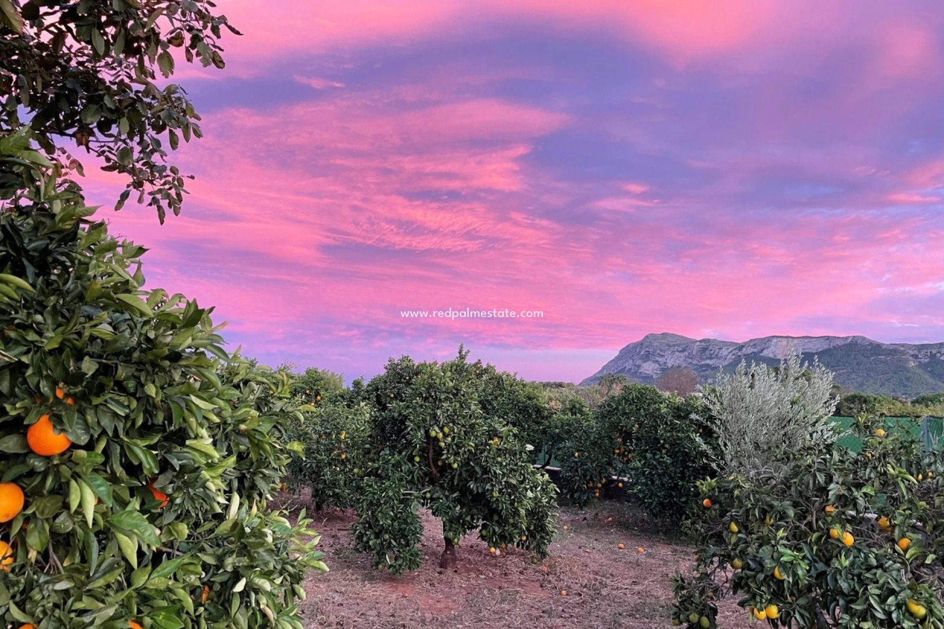 Resale - Apartment -
Vistabella Golf Entre Naranjos
