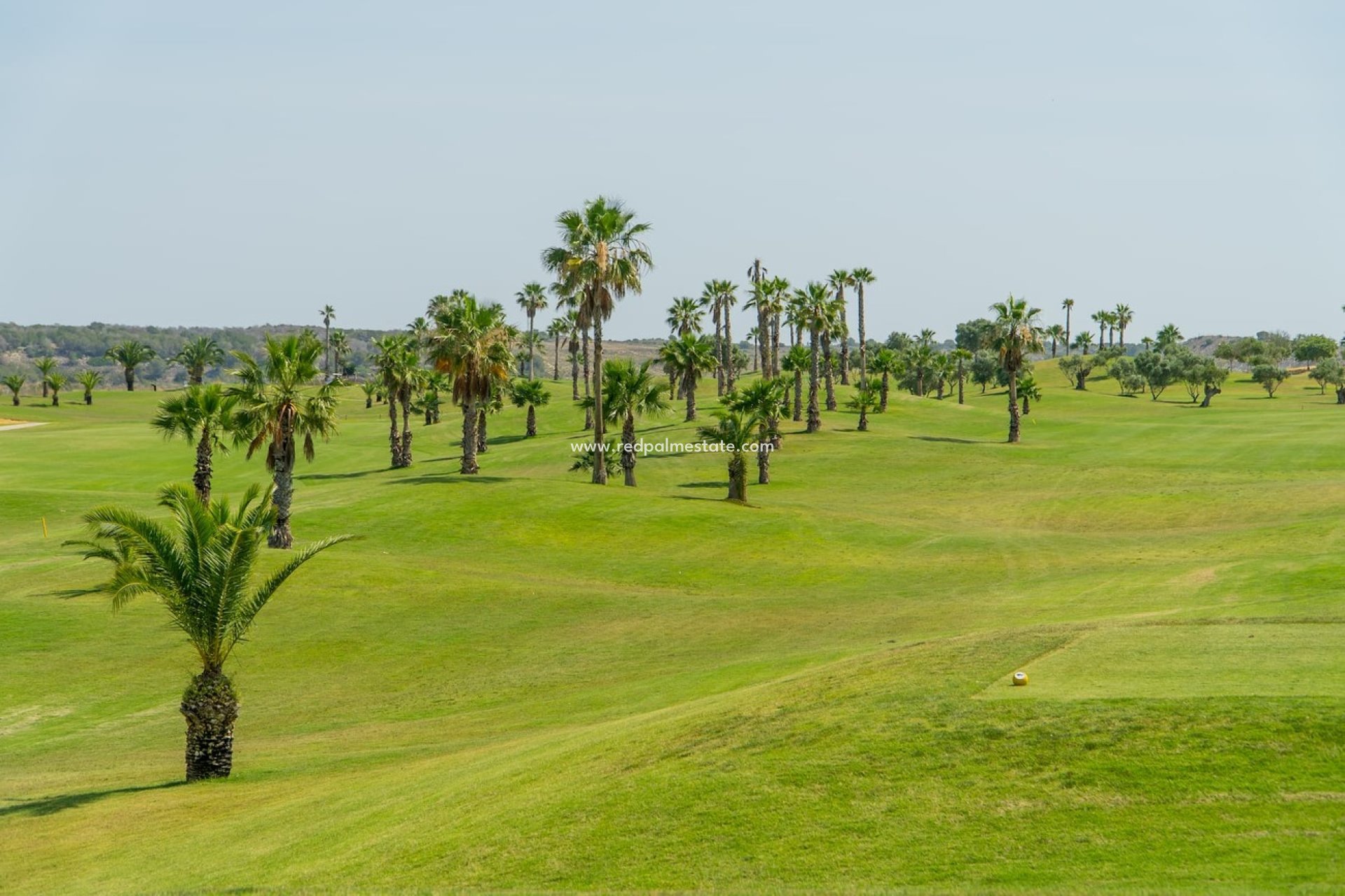 Resale - Apartment -
Vistabella Golf Entre Naranjos