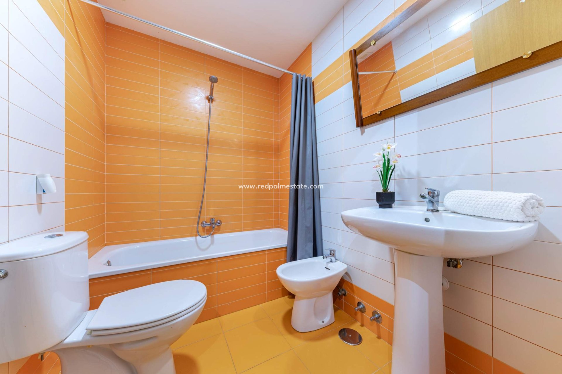 Resale - Apartments -
Alicante - Carolinas Bajas