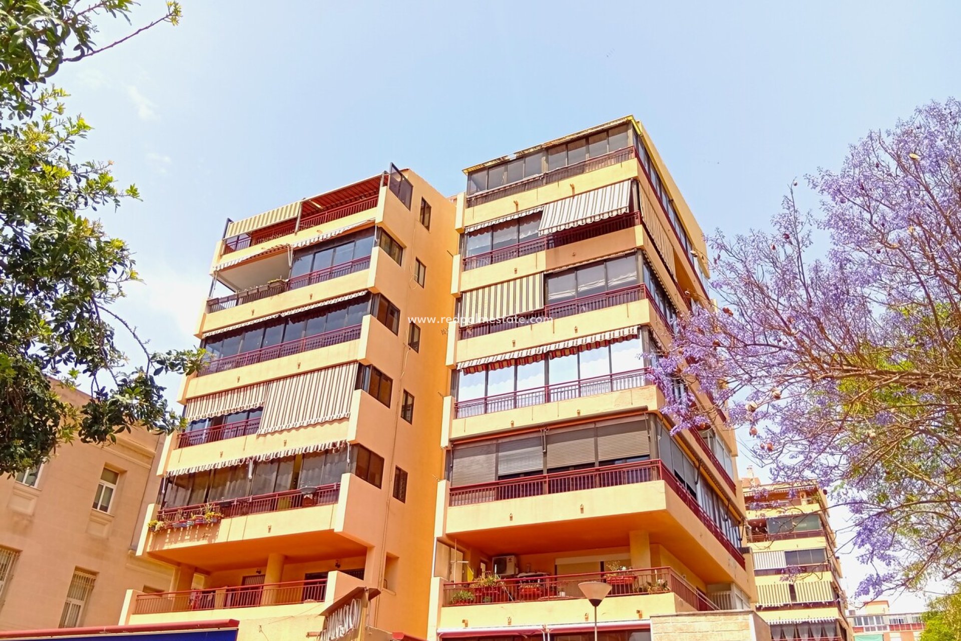 Resale - Apartments -
Alicante - Costa Blanca