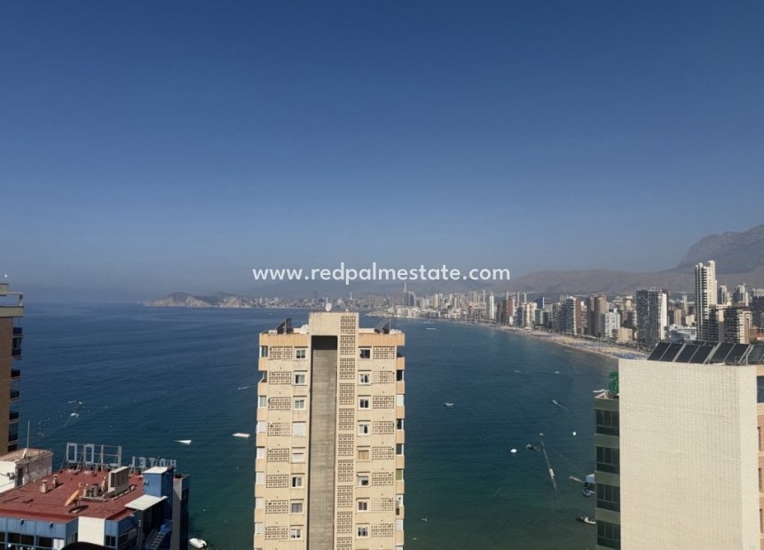 Resale - Apartments -
Benidorm - Costa Blanca