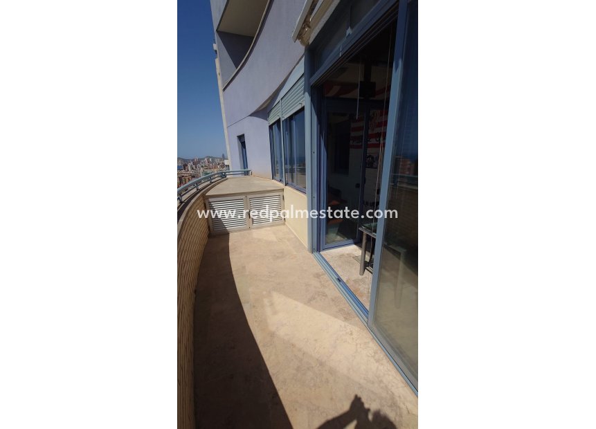 Resale - Apartments -
Benidorm - Costa Blanca