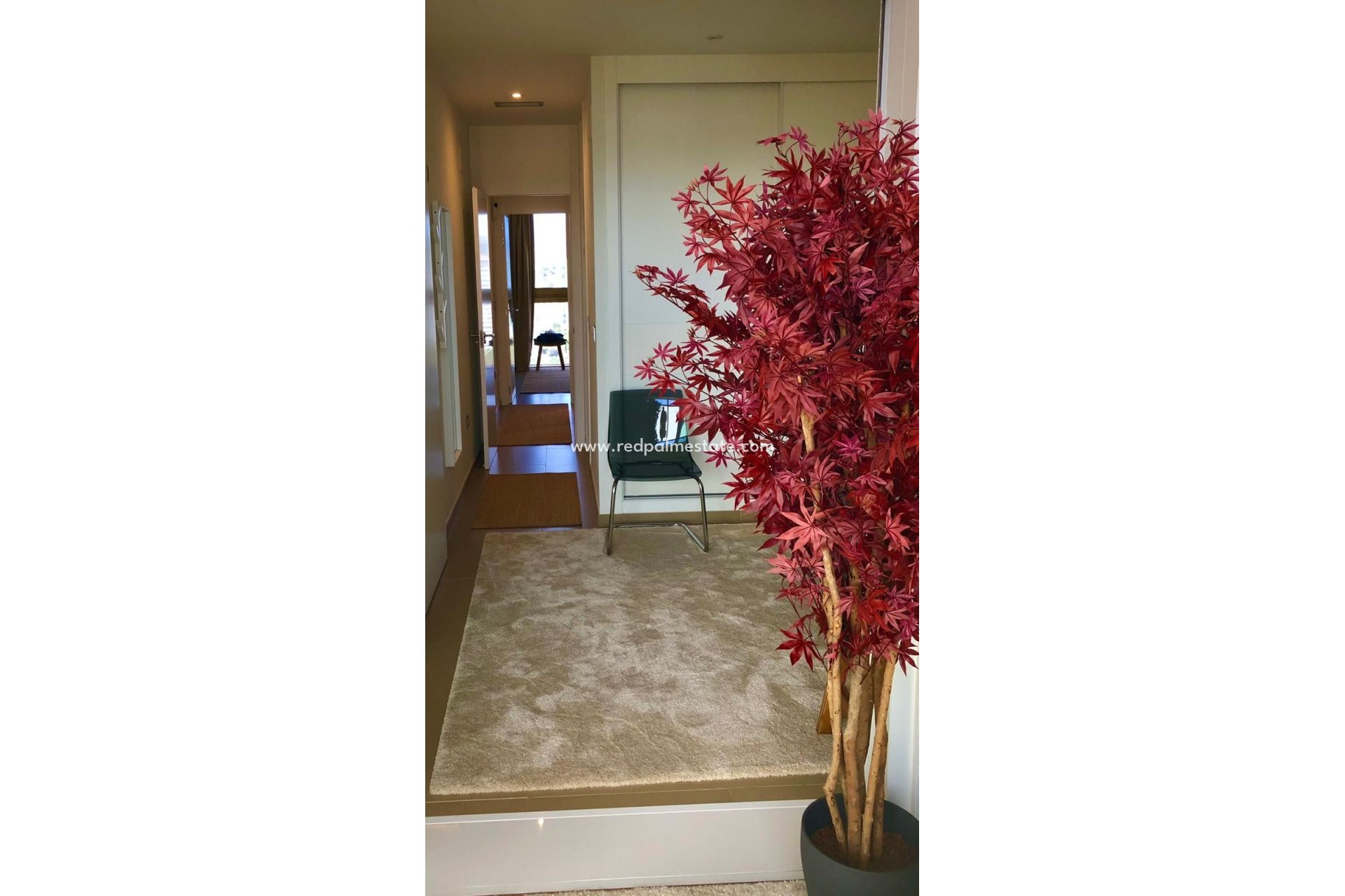 Resale - Apartments -
Benidorm - Costa Blanca