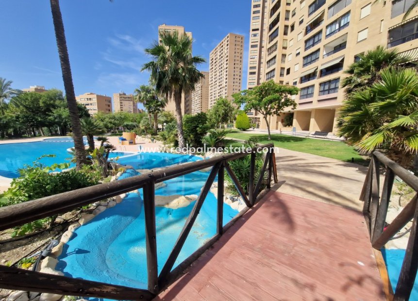 Resale - Apartments -
Benidorm - Costa Blanca