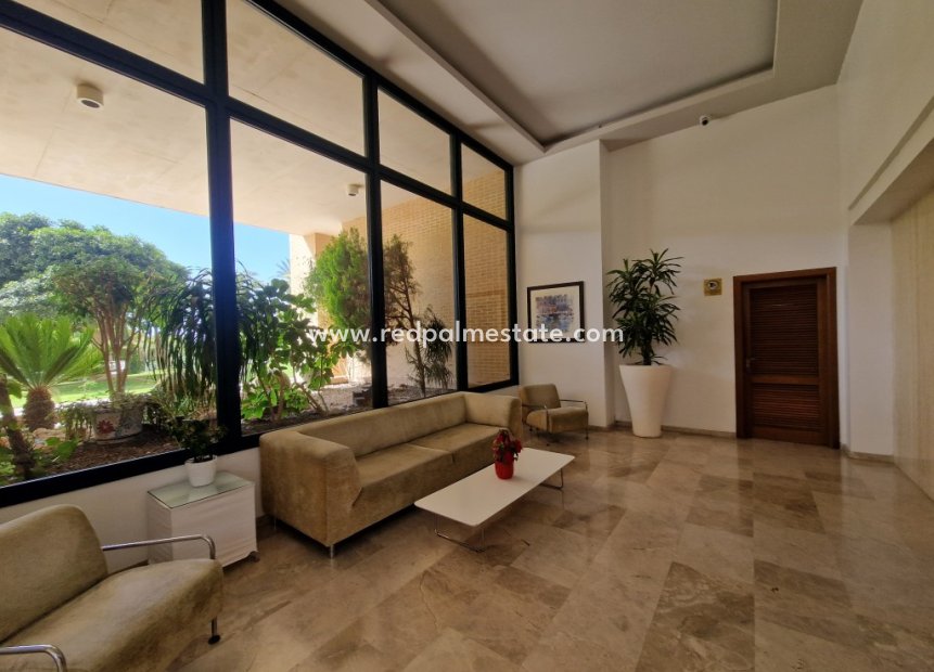 Resale - Apartments -
Benidorm - Costa Blanca