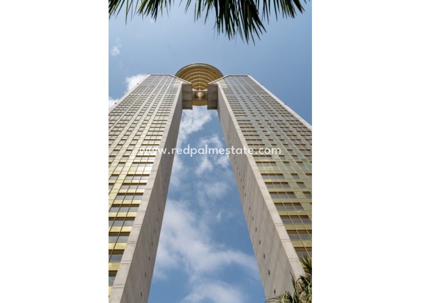 Resale - Apartments -
Benidorm
