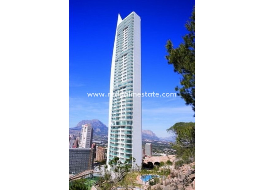 Resale - Apartments -
Benidorm