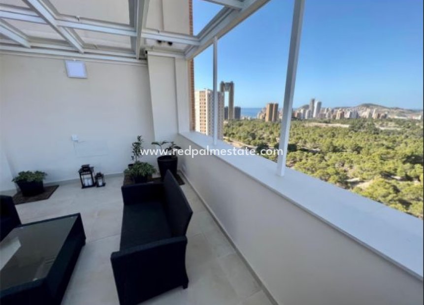 Resale - Apartments -
Benidorm