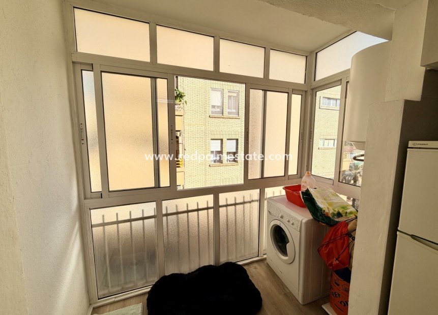 Resale - Apartments -
Elche - Costa Blanca