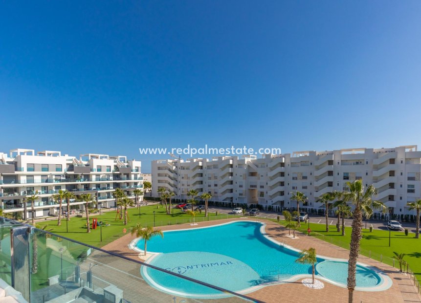 Resale - Apartments -
Guardamar del Segura - El Raso
