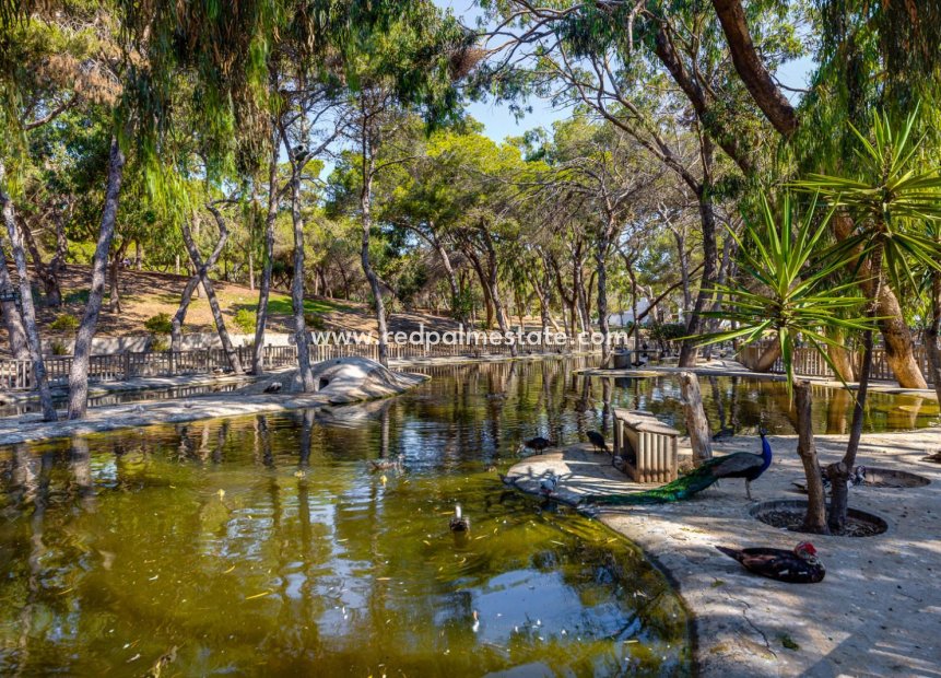 Resale - Apartments -
Guardamar del Segura - Guardamar