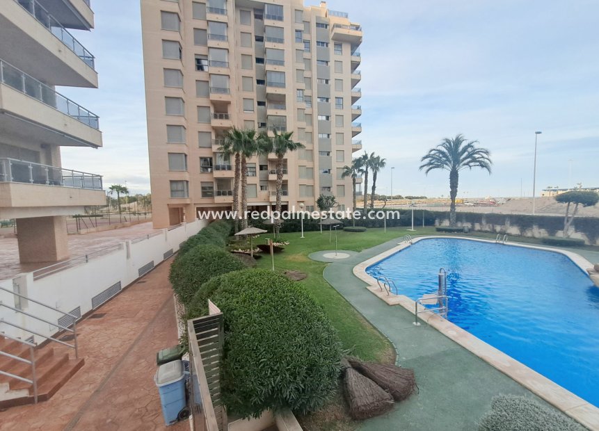 Resale - Apartments -
Guardamar del Segura - Guardamar