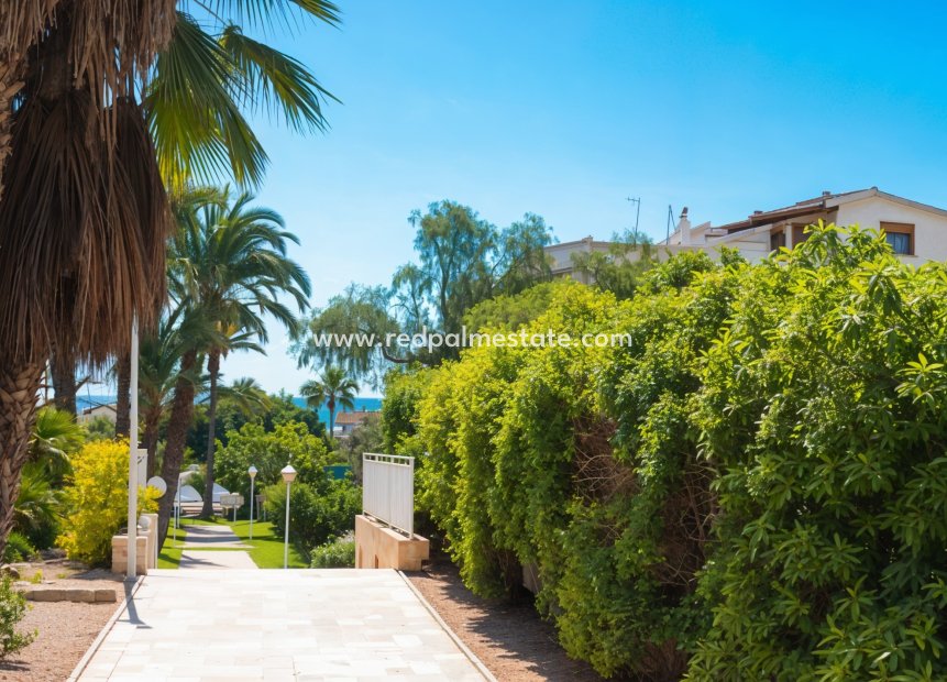 Resale - Apartments -
Guardamar del Segura - Guardamar