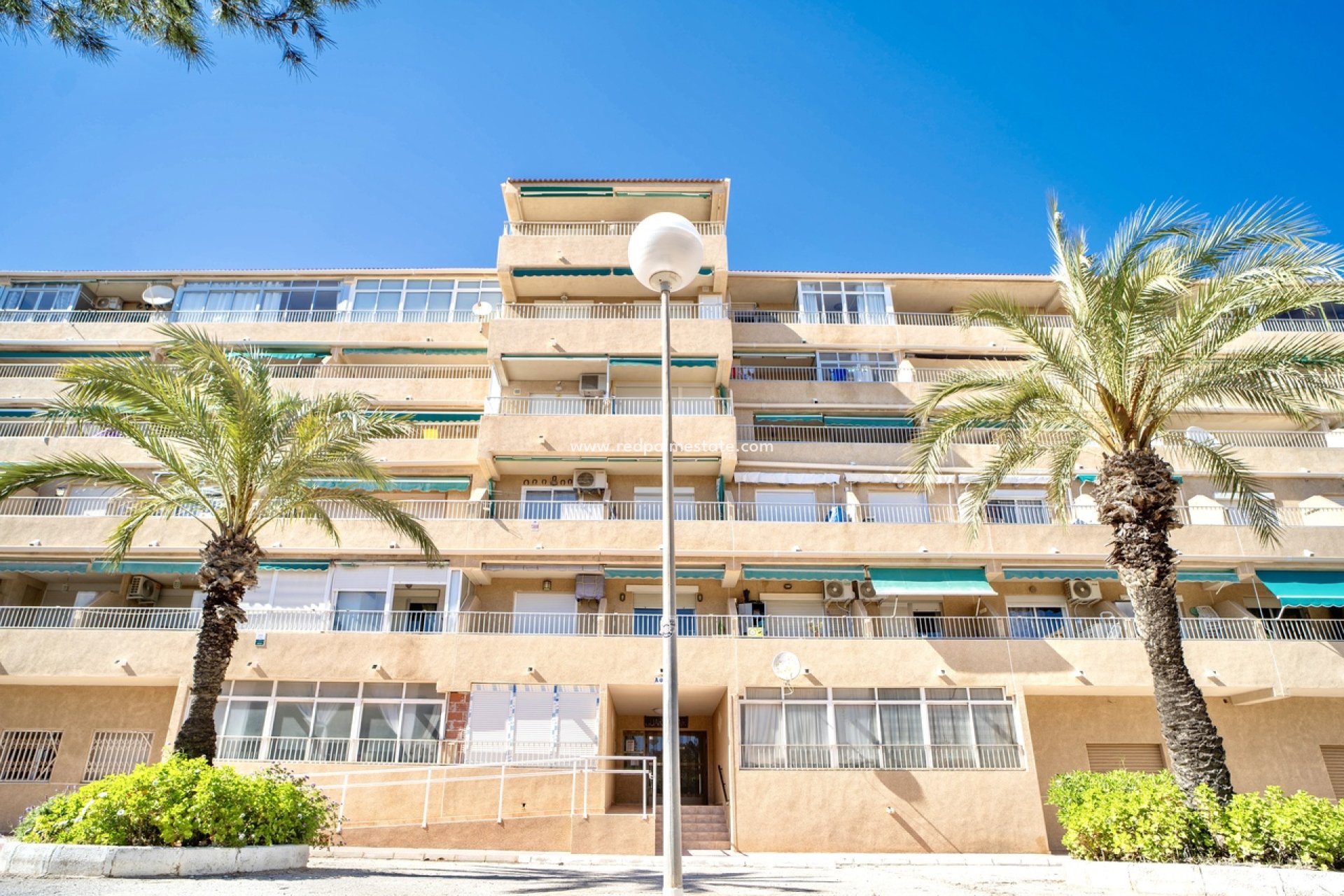 Resale - Apartments -
Guardamar del Segura - Guardamar