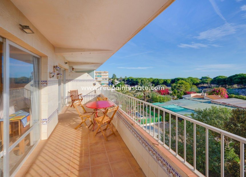 Resale - Apartments -
Guardamar del Segura - Pinomar