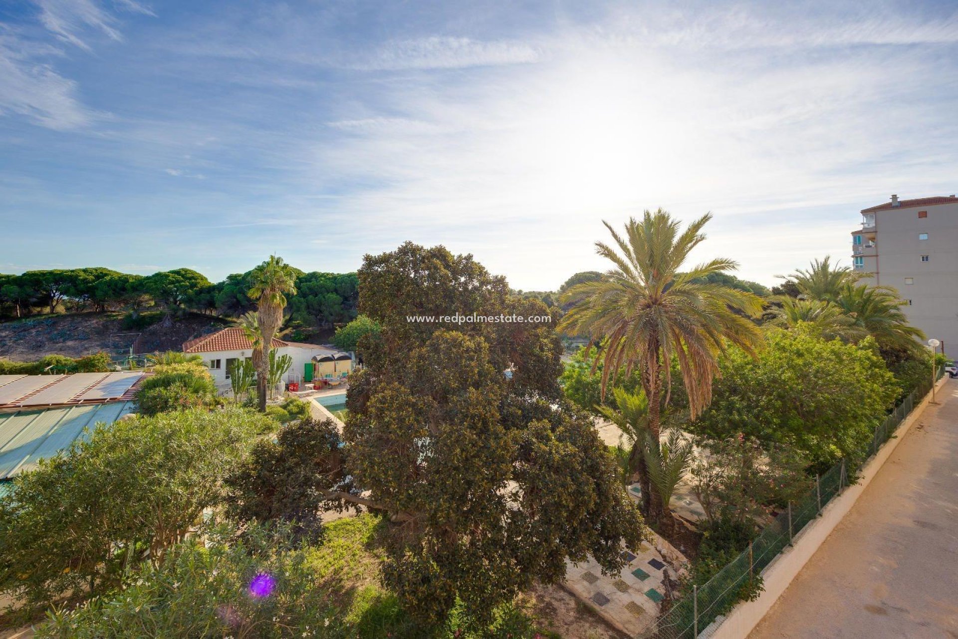 Resale - Apartments -
Guardamar del Segura - Pinomar