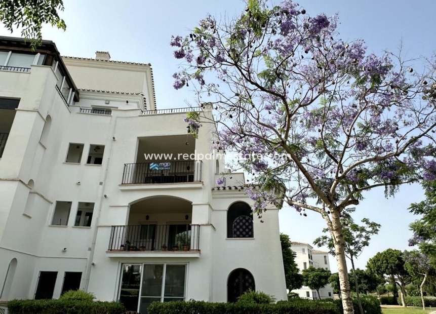 Resale - Apartments -
Hacienda Riquelme Golf Resort - Inland