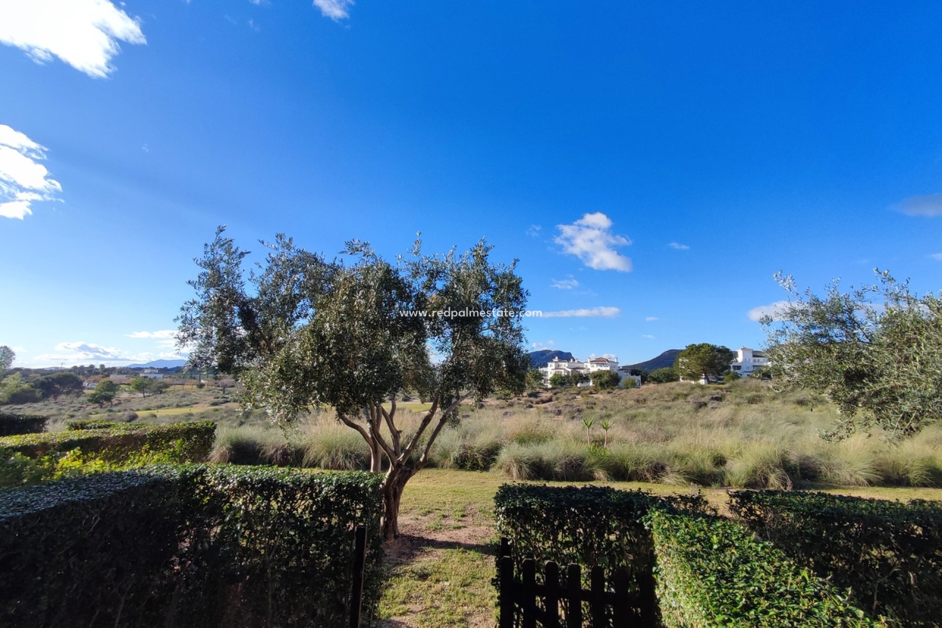 Resale - Apartments -
Hacienda Riquelme Golf Resort - Inland