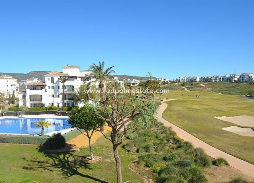 Resale - Apartments -
Hacienda Riquelme Golf Resort